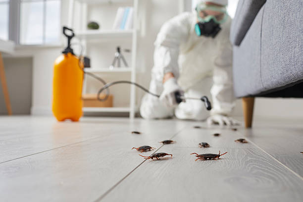 Commercial Kitchen Cockroach Control in Clark Mills